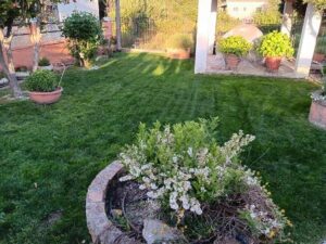 Κατασκευή κήπων Κέρκυρα Άγιος Προκόπης, συντήρηση κήπων Κέρκυρα Άγιος Προκόπης, κηπουρός Κέρκυρα Άγιος Προκόπης, φροντίδα κήπων Κέρκυρα Άγιος Προκόπης, κηπουρικές εργασίες Κέρκυρα Άγιος Προκόπης, καθαρισμοί κήπων Κέρκυρα Άγιος Προκόπης, Vasil 