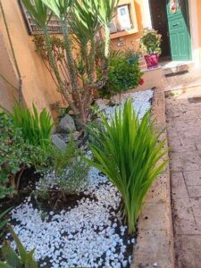 Κατασκευή κήπων Κέρκυρα Άγιος Προκόπης, συντήρηση κήπων Κέρκυρα Άγιος Προκόπης, κηπουρός Κέρκυρα Άγιος Προκόπης, φροντίδα κήπων Κέρκυρα Άγιος Προκόπης, κηπουρικές εργασίες Κέρκυρα Άγιος Προκόπης, καθαρισμοί κήπων Κέρκυρα Άγιος Προκόπης, Vasil 