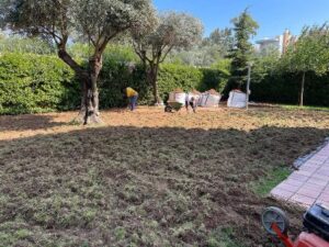 Κατασκευή κήπων Κηφισιά, συντήρηση κήπων Κηφισιά, τοποθέτηση χλοοτάπητα Κηφισιά, αυτόματο πότισμα Κηφισιά, καθαρισμοί οικοπέδων Κηφισιά, κοπή δέντρων Κηφισιά, κλάδεμα δέντρων Κηφισιά, Gardener Aris