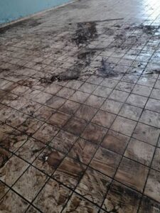 Συνεργείο καθαρισμού Ρόδος, καθαρισμός χώρων Ρόδος, καθαρισμοί τουριστικών καταλυμάτων Ρόδος, καθαρισμοί σπιτιών Ρόδος, καθαρισμοί υαλοπινάκων Ρόδος, Clever Clean 