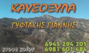 Καυσόξυλα Νεάπολη Κοζάνης, δασικά προϊόντα Νεάπολη Κοζάνης, καστανιά Νεάπολη Κοζάνης, ζωοτροφές Νεάπολη Κοζάνης, οξιά Νεάπολη Κοζάνης, δρυς Νεάπολη Κοζάνης, πουρνάρι Νεάπολη Κοζάνης, Γυφτάκης