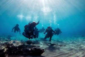 Κέντρο καταδύσεων Άγιος Νικόλαος Λασιθίου, κατάδυση Άγιος Νικόλαος Λασιθίου, μαθήματα κατάδυσης Άγιος Νικόλαος, μάθημα divemaster Άγιος Νικόλαος, μάθημα διάσωσης δύτη Άγιος Νικόλαος, καταδύσεις αναψυχής Άγιος Νικόλαος, MVDC