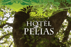 Ξενοδοχείο Πήλιο Πορταριά, ενοικιαζόμενα δωμάτια Πήλιο Πορταριά, ενοικιαζόμενα διαμερίσματα Πήλιο Πορταριά. Διαμονή Πήλιο Πορταριά, καταλύματα Πήλιο Πορταριά, Pelias Hotel