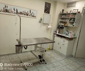 Κτηνιατρείο Πλατεία Κολιάτσου Αθήνα, κτηνίατρος Πλατεία Κολιάτσου Αθήνα, εμβολιασμοί κατοικίδιων Πλατεία Κολιάτσου Αθήνα, εργαστηριακές εξετάσεις κατοικίδιων Πλατεία Κολιάτσου Αθήνα, καλλωπισμός κατοικίδιων Πλατεία Κολιάτσου Αθήνα, χειρουργικές επεμβάσεις κατοικίδιων Πλατεία Κολιάτσου Αθήνα, Μακρή 