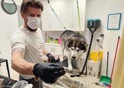 Κτηνίατρος Ηλιούπολη, κτηνιατρείο Ηλιούπολη, εμβολιασμοί κατοικίδιων Ηλιούπολη, χειρουργικές επεμβάσεις ζώων Ηλιούπολη, καλλωπισμός κατοικίδιων Ηλιούπολη, εργαστηριακές εξετάσεις ζώων Ηλιούπολη, Σιδηρά 