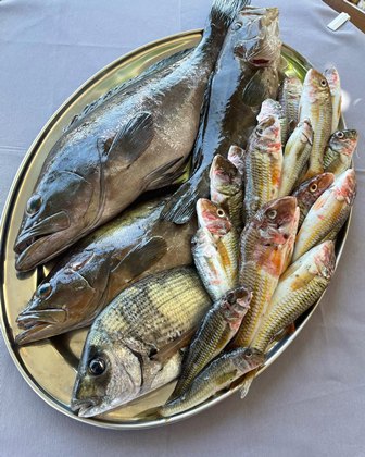 Fresh fish of various sizes on a metal platter, including two large dark fish and several smaller, colorful fish.