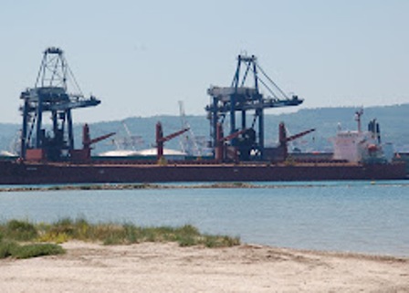 Container ship with two large blue gantry cranes at a harbor, viewed from a sandy beach.