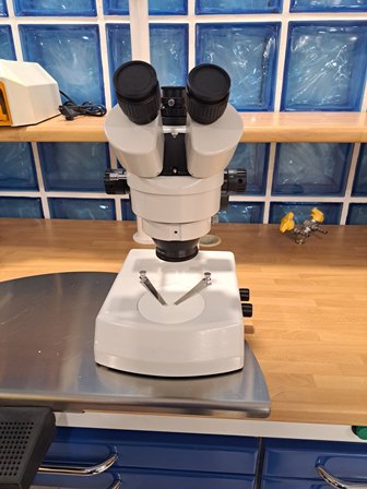 Binocular compound microscope on a lab bench with blue tiled wall in the background.