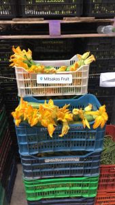 Οπωροκηπευτικά Ναύπλιο Άγιος Ανδριανός, εμπόριο φρούτων Ναύπλιο Άγιος Ανδριανός, εμπόριο λαχανικών Ναύπλιο Άγιος Ανδριανός, τυποποίηση λαχανικών Ναύπλιο Άγιος Ανδριανός, τυποποίηση φρούτων Ναύπλιο Άγιος Ανδριανός, Mitsakos