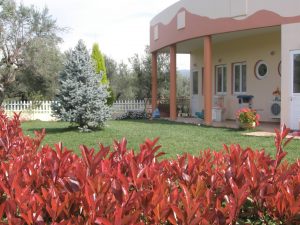 Παιδικός σταθμός Μυρτιά Αχαΐας, βρεφονηπιακός σταθμός Μυρτιά Αχαΐας, νηπιαγωγείο Μυρτιά Αχαΐας. Παιδικοί σταθμοί Μυρτιά Αχαΐας, βρεφονηπιακοί σταθμοί Μυρτιά Αχαΐας, νηπιαγωγεία Μυρτιά Αχαΐας. Baby House