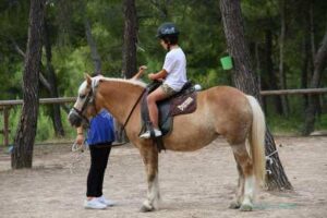 Παιδική κατασκήνωση Χιλιομόδι Κορινθίας, καλοκαιρινή κατασκήνωση Χιλιομόδι Κορινθίας, summer camp Χιλιομόδι Κορινθίας, camping Χιλιομόδι Κορινθίας, camp Χιλιομόδι Κορινθίας, Freeland