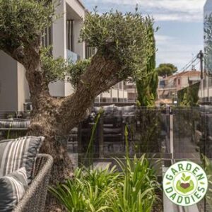 Περιποίηση κήπων Νέα Σάντα Κιλκίς, κατασκευή κήπων Νέα Σάντα Κιλκίς, διαμόρφωση κήπων Νέα Σάντα Κιλκίς, εγκατάσταση χλοοτάπητα Νέα Σάντα Κιλκίς, κλάδεμα δέντρων Νέα Σάντα Κιλκίς, αρδευτικό σύστημα Νέα Σάντα Κιλκίς, Garden Daddies 