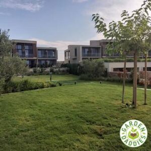 Περιποίηση κήπων Νέα Σάντα Κιλκίς, κατασκευή κήπων Νέα Σάντα Κιλκίς, διαμόρφωση κήπων Νέα Σάντα Κιλκίς, εγκατάσταση χλοοτάπητα Νέα Σάντα Κιλκίς, κλάδεμα δέντρων Νέα Σάντα Κιλκίς, αρδευτικό σύστημα Νέα Σάντα Κιλκίς, Garden Daddies 