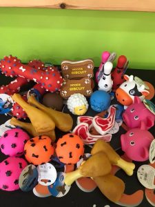 Pet shop Λάρισα, ζωοτροφές Λάρισα, σκυλοτροφές Λάρισα, γατοτροφές Λάρισα, καλλωπισμός σκύλων Λάρισα, αξεσουάρ ζώων Λάρισα, πτηνοτροφές Λάρισα, ψάρια Λάρισα, Κουρτίδη 