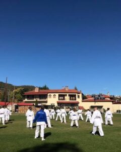 Πολεμικές τέχνες Κατερίνη, μαθήματα πολεμικής τέχνης Κατερίνη, μαθήματα καράτε Κατερίνη, shotokan karate Κατερίνη, kyokushin karate Κατερίνη, μαθήματα πρωταθλήματος καράτε Κατερίνη, Γ.Α.Σ. 