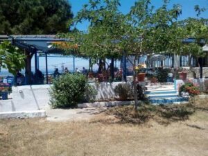 Ψαροταβέρνα Πυλί Κως, ταβέρνα Πυλί Κως, εστιατόριο Πυλί Κως, φρέσκα ψάρια Πυλί Κως, θαλασσινά Πυλί Κως, ψητά κρέατα Πυλί Κως, ζυμαρικά Πυλί Κως, πίτσες Πυλί Κως, The Old Pyli 