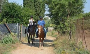 Σχολή ιππασίας Αυλώνας, ιππικός όμιλος Αυλώνας, μαθήματα ιππασίας Αυλώνας, φιλοξενία ίππων Αυλώνας, υπερπήδηση εμποδίων Αυλώνας, ενοικίαση αλόγων Αυλώνας, Μακρίδου 