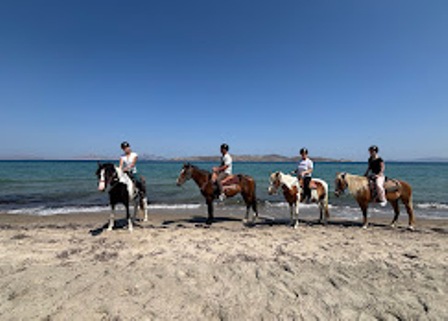 Five riders on horses walking along a sandy beach with the blue sea in the background.