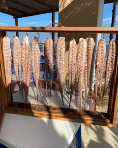 Ταβέρνα Στεγνά Ρόδος, ψαροταβέρνα Στεγνά Ρόδος, εστιατόριο Στεγνά Ρόδος, φρέσκα ψάρια Στεγνά Ρόδος, θαλασσινά Στεγνά Ρόδος, οστρακοειδή Στεγνά Ρόδος, ζυμαρικά Στεγνά Ρόδος, Calypso 