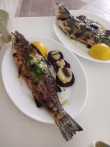 Ταβέρνα Στεγνά Ρόδος, ψαροταβέρνα Στεγνά Ρόδος, εστιατόριο Στεγνά Ρόδος, φρέσκα ψάρια Στεγνά Ρόδος, θαλασσινά Στεγνά Ρόδος, οστρακοειδή Στεγνά Ρόδος, ζυμαρικά Στεγνά Ρόδος, Calypso 