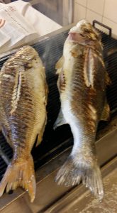 Ταβέρνα Ρίο Αχαΐας, ψαροταβέρνα Ρίο, φρέσκα ψάρια Ρίο, θαλασσινά Ρίο, γαρίδες Ρίο, αστακός Ρίο, καλαμάρια Ρίο, τσιπούρα Ρίο, μεσογειακή κουζίνα Ρίο, Δημοριρί