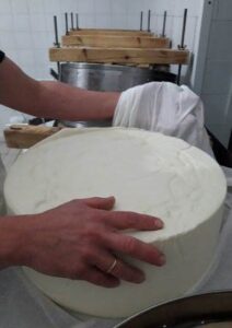 Τυροκομικά προϊόντα Βρύσες Χανίων, γαλακτοκομικά προϊόντα Βρύσες Χανίων, τυροκομείο Βρύσες Χανίων. Γραβιέρα Κρήτης Βρύσες Χανίων, κεφαλοτύρι Βρύσες Χανίων, στάκα Βρύσες Χανίων, πηχτόγαλο Βρύσες Χανίων, πρόβειο γιαούρτι Βρύσες Χανίων, Καρκάνης 