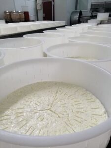 Τυροκομείο Σίμιζα Ηλείας, τυροκομικά προϊόντα Σίμιζα Ηλείας, ξηρή μυζήθρα Σίμιζα Ηλείας, φέτα Π.Ο.Π. Σίμιζα Ηλείας, φέτα Σίμιζα Ηλείας, ζωοτροφές Σίμιζα Ηλείας, Κολοτούρου