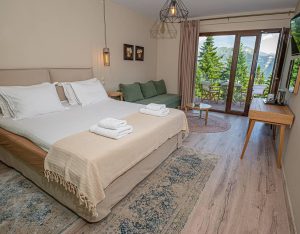 Ξενοδοχείο Τσόπελα Ιωαννίνων, ξενώνας Τσόπελα Ιωαννίνων, ενοικιαζόμενα διαμερίσματα Τσόπελα Ιωαννίνων, ενοικιαζόμενα δωμάτια Τσόπελα Ιωαννίνων, κατάλυμα Τσόπελα Ιωαννίνων, studios Τσόπελα Ιωαννίνων, Anavasi 