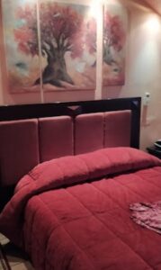 Ξενοδοχείο Πήλιο Πορταριά, ενοικιαζόμενα δωμάτια Πήλιο Πορταριά, ενοικιαζόμενα διαμερίσματα Πήλιο Πορταριά, διαμονή Πήλιο Πορταριά, καταλύματα Πήλιο Πορταριά