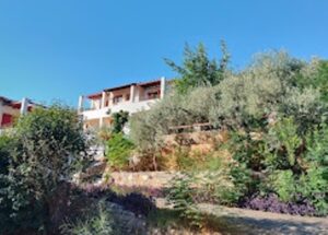 Ξενοδοχείο Αρχαία Επίδαυρος, ενοικιαζόμενα δωμάτια Αρχαία Επίδαυρος, ενοικιαζόμενα διαμερίσματα Αρχαία Επίδαυρος, κατάλυμα Αρχαία Επίδαυρος, διαμονή Αρχαία Επίδαυρος, Heleni 