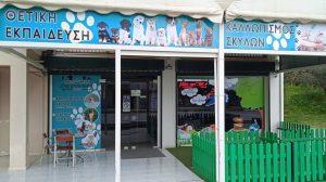 Υπηρεσίες κατοικιδίων Ζάκυνθος Ντουρέικα, περιποίηση κατοικιδίων Ζάκυνθος Ντουρέικα, εκπαίδευση κατοικιδίων Ζάκυνθος Ντουρέικα. Pet shop Ζάκυνθος Ντουρέικα, pet grooming Ζάκυνθος Ντουρέικα. Υπηρεσία κατοικιδίων Ζάκυνθος Ντουρέικα, περιποίηση κατοικιδίου Ζάκυνθος Ντουρέικα, εκπαίδευση κατοικιδίου Ζάκυνθος Ντουρέικα. Love & Care